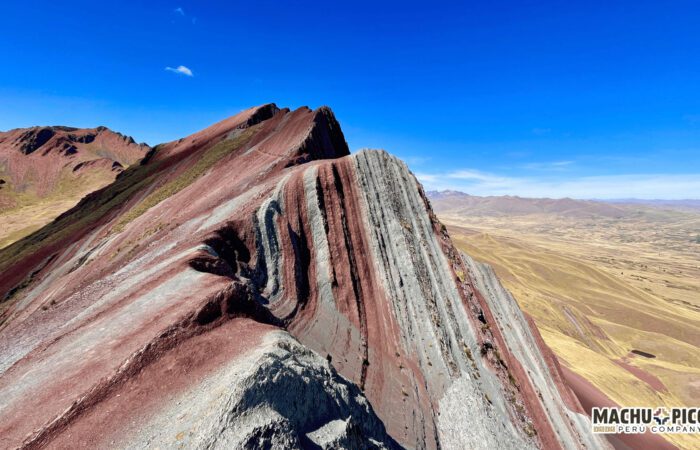 Pallay Punchu Trek Full Day