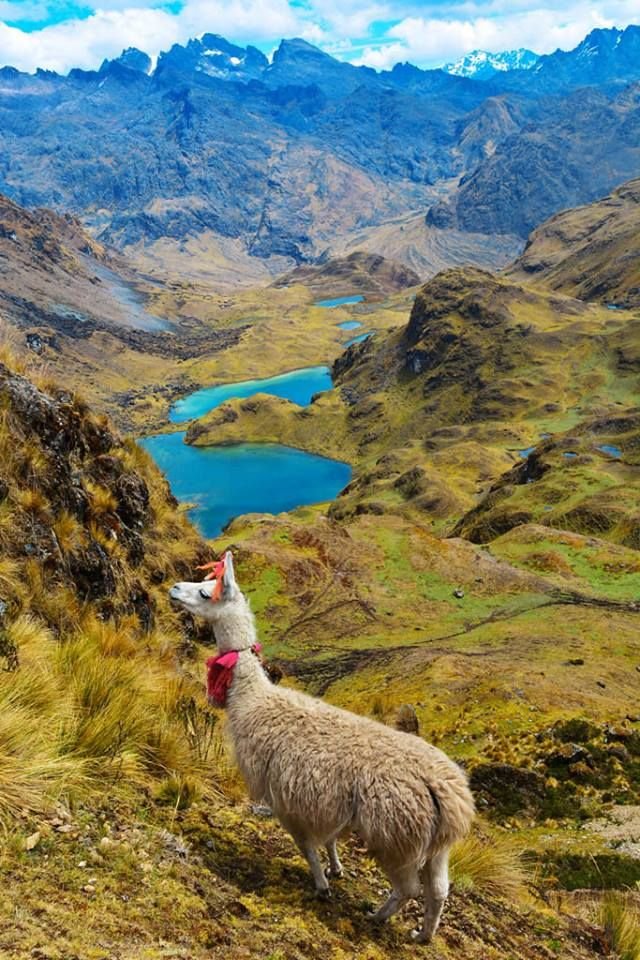 Salkantay Vs Inca Trail Vs Lares - Quechua mountain community along the Lares trek route